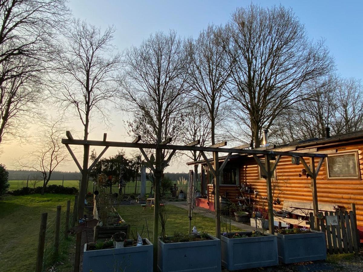 Chalet De Kleine Eekhoorn Lage Mierde Exteriör bild