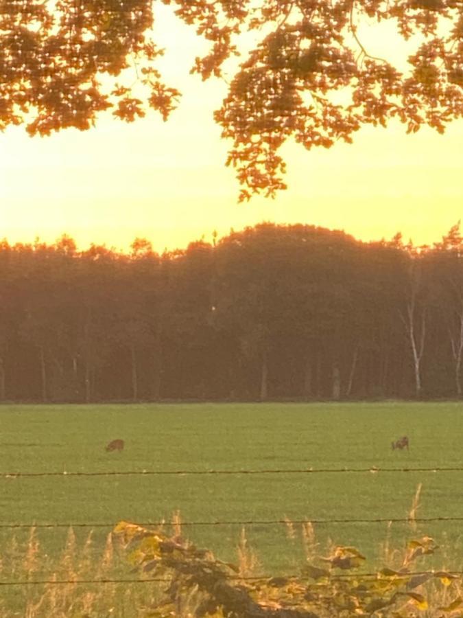 Chalet De Kleine Eekhoorn Lage Mierde Exteriör bild