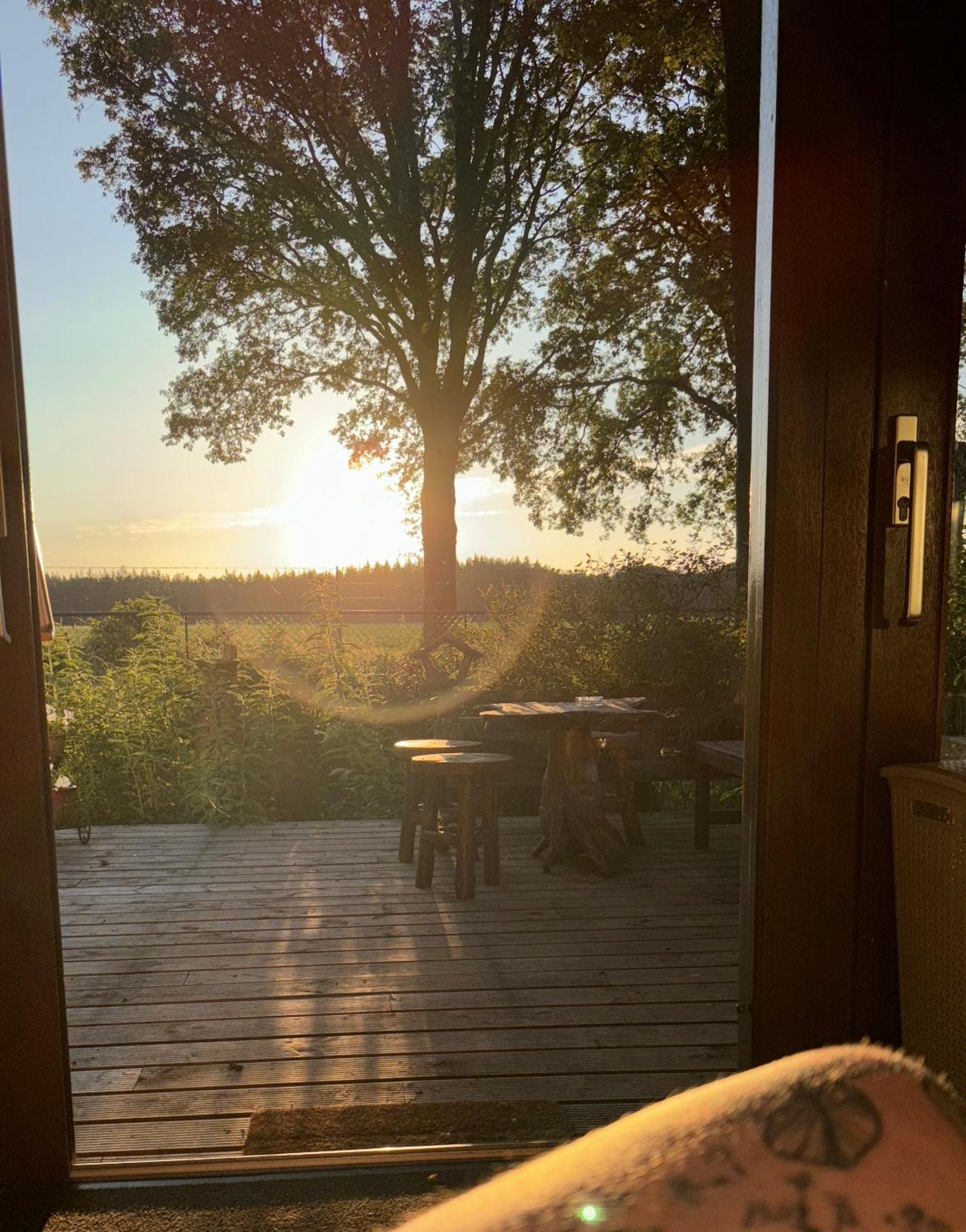 Chalet De Kleine Eekhoorn Lage Mierde Exteriör bild